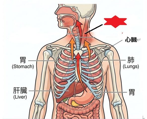 春が近づいてきました